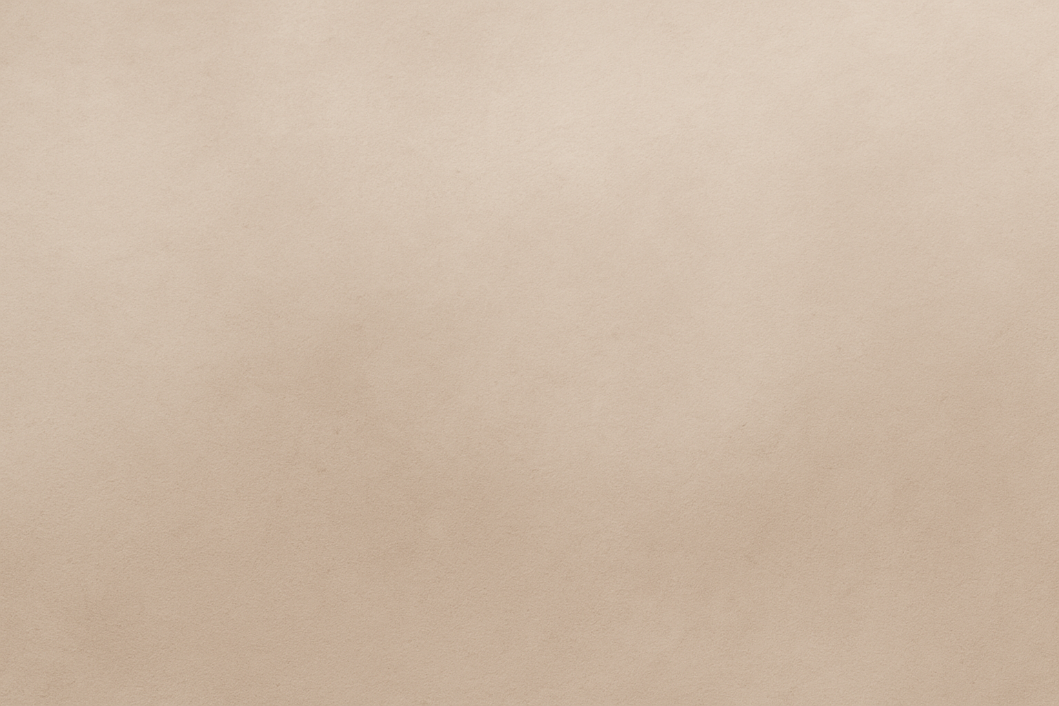 Light beige textured background.